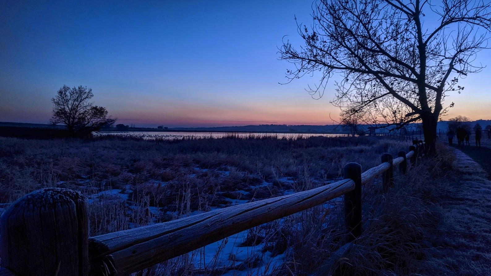 Frost at Stearns Lake - TBI to 100 Miles