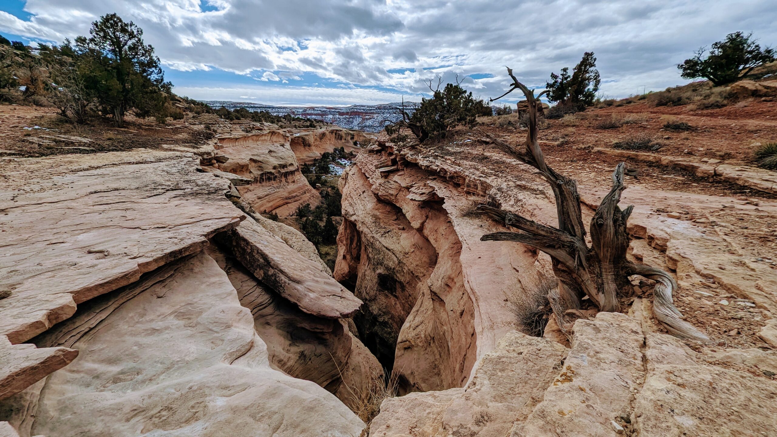 Arches Ultra 50k 2023 TBI to 100 Miles Health Balance Wellness